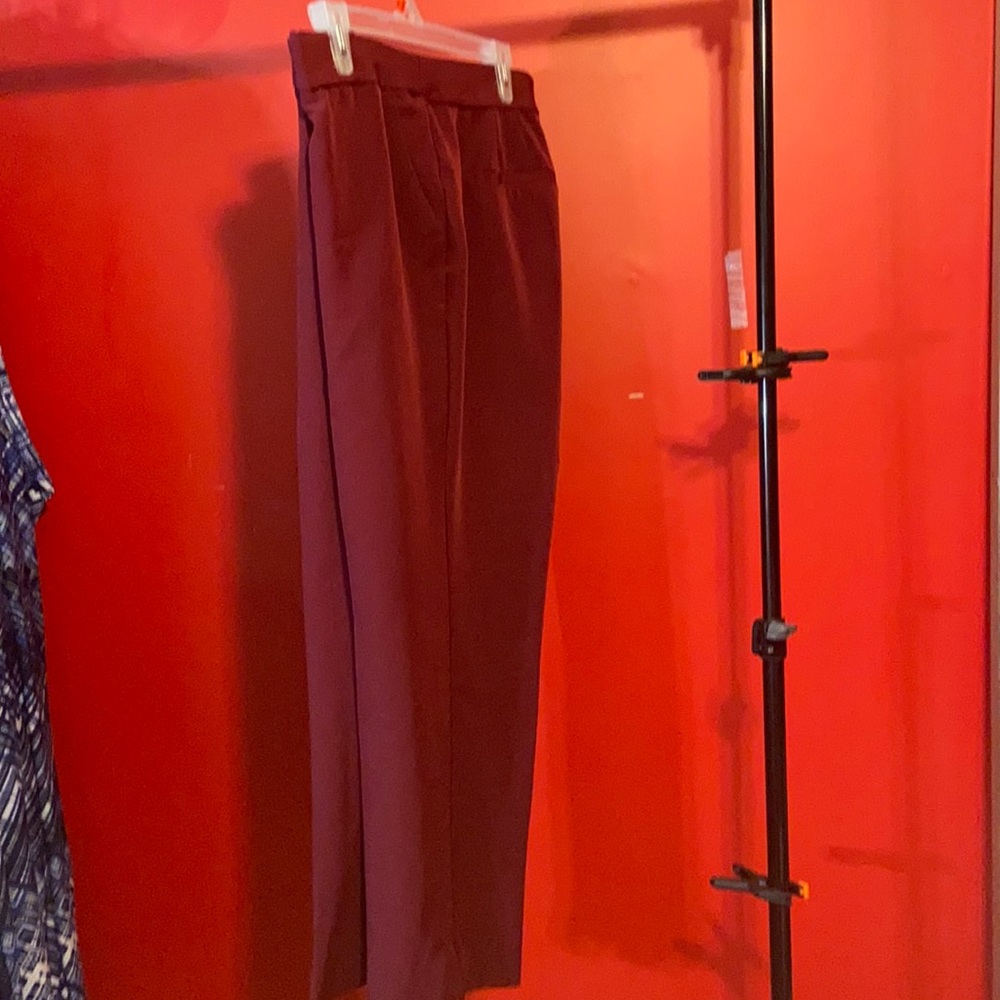 Roz & Ali pull on stretchy burgundy dress pants with ankle slit. 16w